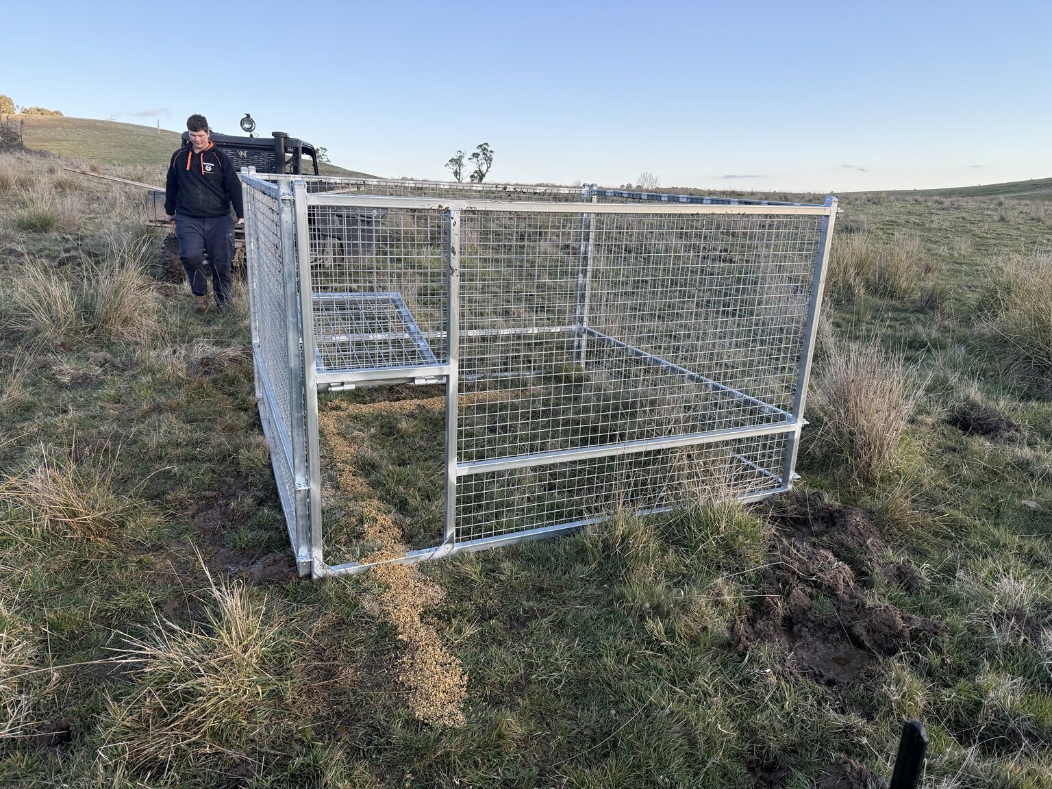 Portable feral pig trap deployed on a Central West NSW grazing property